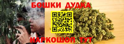 дживик Можга