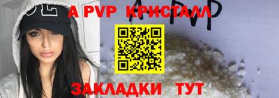 дживик Можга