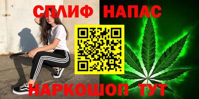 apvp Моздок