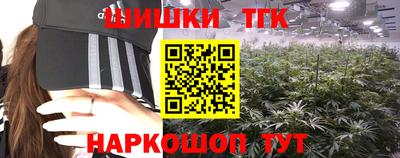 дживик Можга