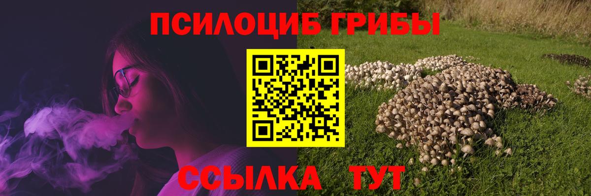 Псилоцибиновые грибы Magic Shrooms  Вход с VPN  Галлюциногенные грибы Magic Shrooms  Чернушка 