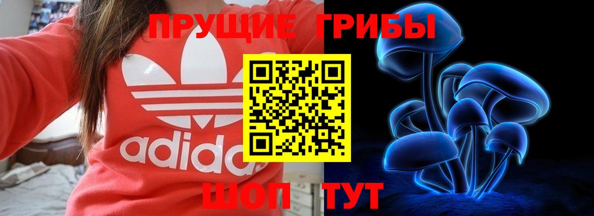 Псилоцибиновые грибы MAGIC MUSHROOMS Чернушка
